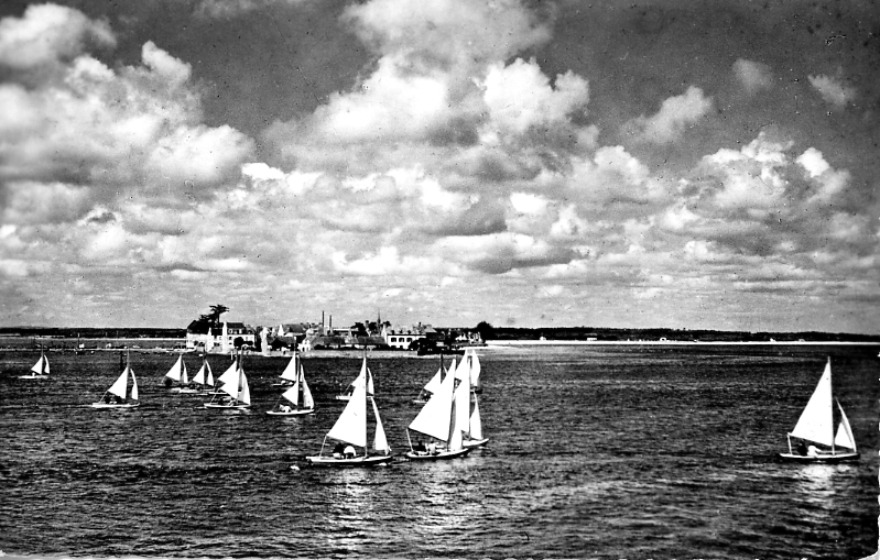  Carte Pouillot-Ehanno n°203 - Loctudy - Ile Tudy, Les Régates