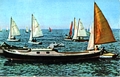  'Bassin d'Arcachon - Régate'Snipe 10752 - Snipe 11359 - Snipe 11489 - Snipe 12241(Bloc Frères n°4)