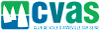 Guidon CVAS