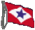 Guidon CVP
