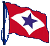 Guidon CVP