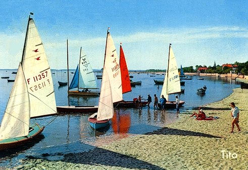 Carte Tito n°486 - Andernos les Bains - Avant les Régates (Snipes)