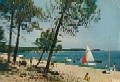 'Lac de Lacanau la Conche et la Grande Escoure'Snipe 7064 'Zwina' à Michel Moine(Carte Théojac n°1)